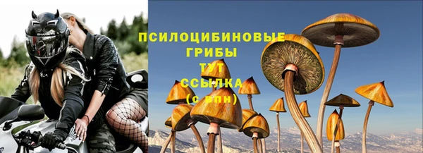 дурь Абаза